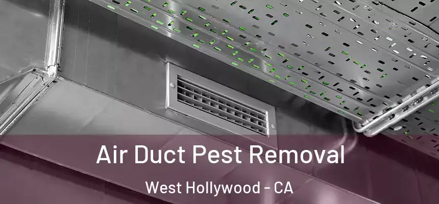 Air Duct Pest Removal West Hollywood - CA