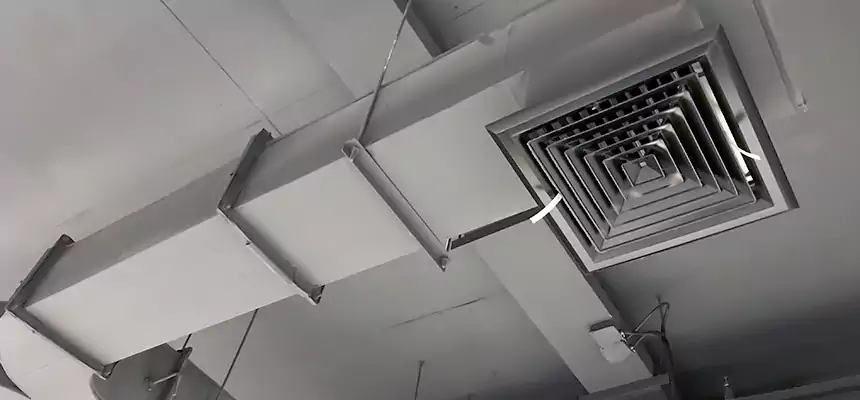 Restorative Allergy Relief Vent Cleaning – Coil, Blower & Housing Detail in West Hollywood