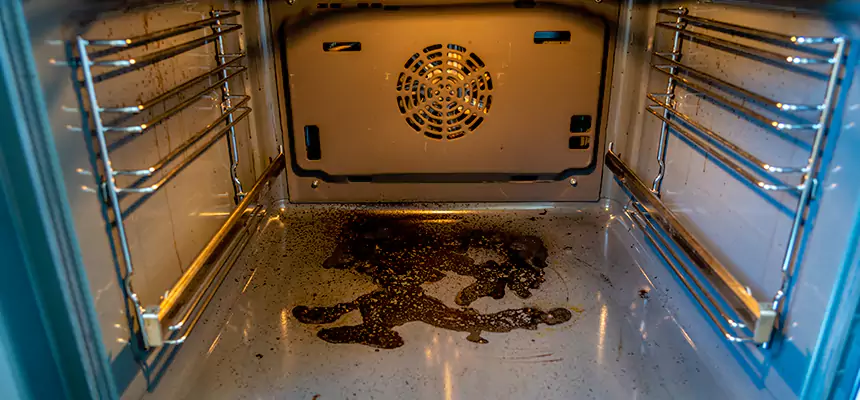 Our Dryer Vent Mold Cleaning Services in West Hollywood, CA