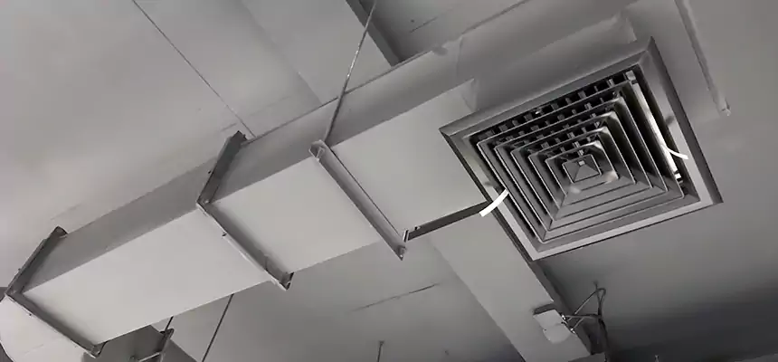 Our Pest Removal From Ducts Services in West Hollywood, CA