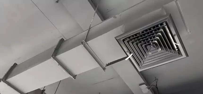 Our Rodent Droppings In Vents Services in West Hollywood, CA