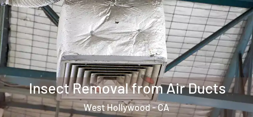  Insect Removal from Air Ducts West Hollywood - CA