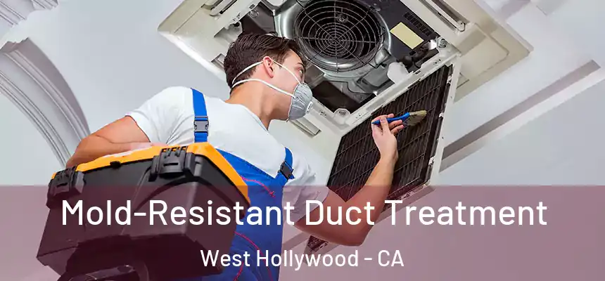 Mold-Resistant Duct Treatment West Hollywood - CA
