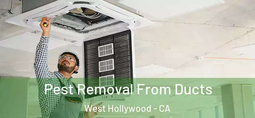  Pest Removal From Ducts West Hollywood - CA