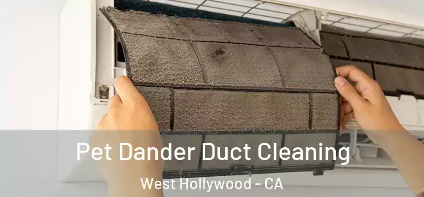  Pet Dander Duct Cleaning West Hollywood - CA