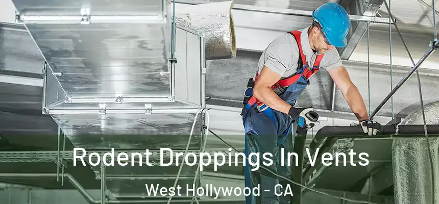 Rodent Droppings In Vents West Hollywood - CA