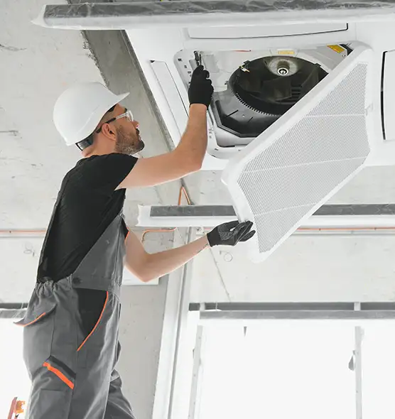 About Air Duct Rodent Removal in West Hollywood, CA