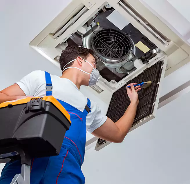 Why Homeowners & Businesses Trust Us in West Hollywood, CA