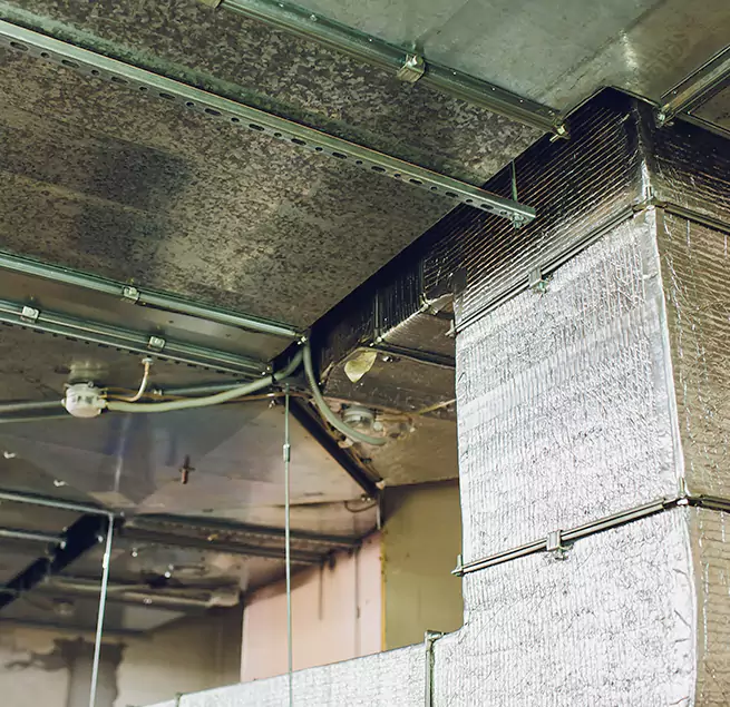 Why Homeowners & Businesses Trust Us in West Hollywood, CA?